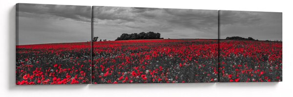 Obraz maków (170x50 cm)