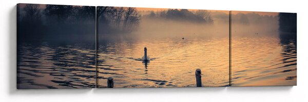 Obraz łabędzi na wodzie we mgle (170x50 cm)