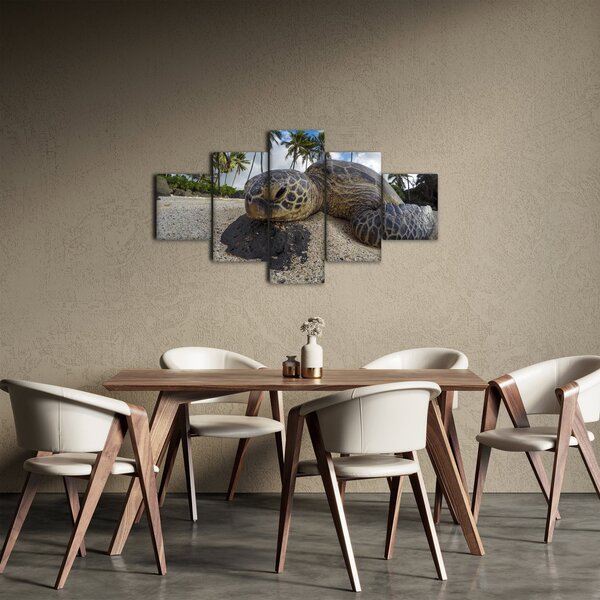 Obraz żółwia (125x70 cm)