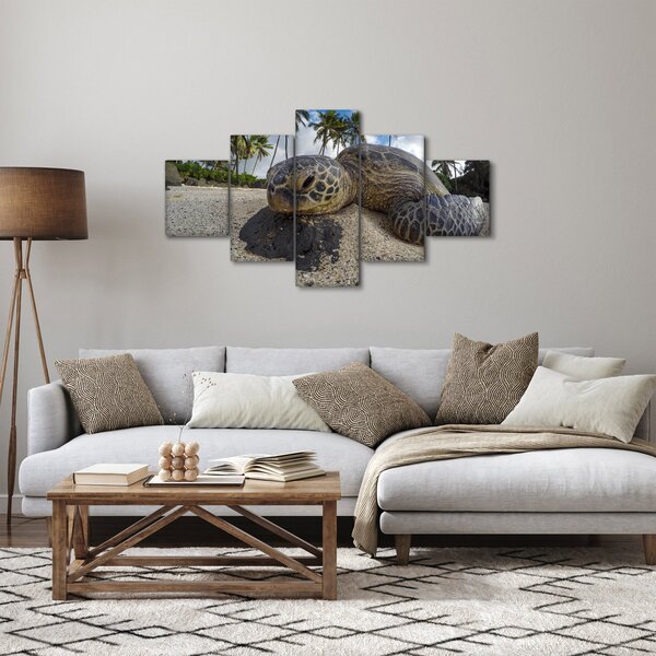 Obraz żółwia (125x70 cm)