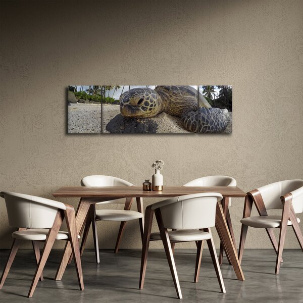 Obraz żółwia (170x50 cm)
