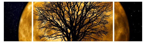 Obraz księżyca i sylwetki (170x50 cm)