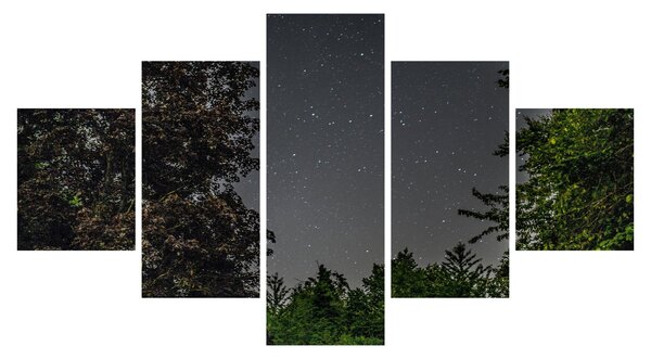 Obraz nocnego nieba (125x70 cm)