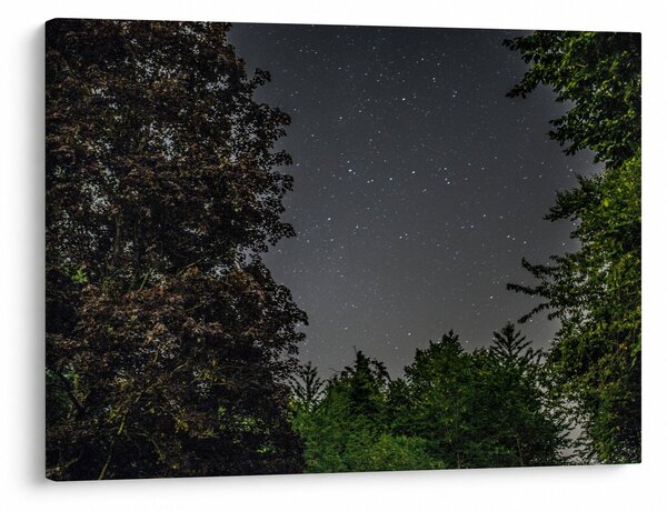 Obraz nocnego nieba (70x50 cm)