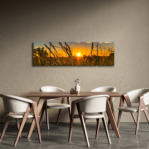 Obraz pola o zachodzie słońca (170x50 cm)