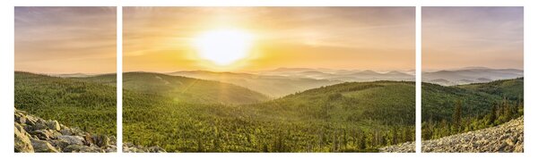 Obraz panoramiczny (170x50 cm)