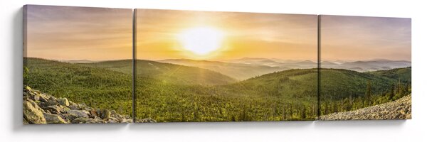 Obraz panoramiczny (170x50 cm)