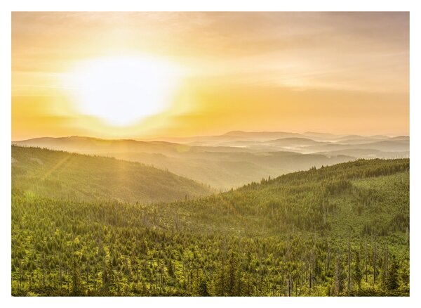 Obraz panoramiczny (70x50 cm)