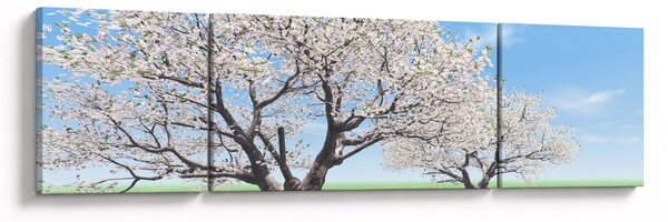 Obraz drzew (170x50 cm)