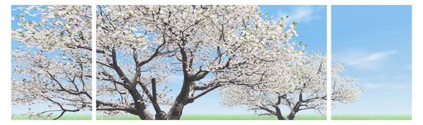 Obraz drzew (170x50 cm)