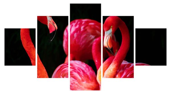 Obraz czerwonych flamingów (125x70 cm)
