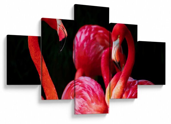 Obraz czerwonych flamingów (125x70 cm)