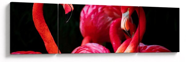 Obraz czerwonych flamingów (170x50 cm)
