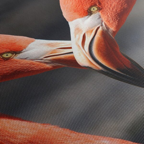 Obraz dwóch zakochanych flamingów (70x50 cm)