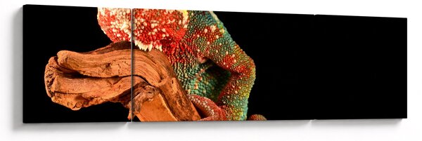 Obraz kameleona na gałęzi (170x50 cm)