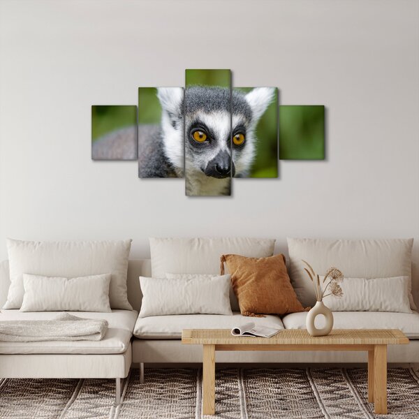 Obraz lemura (125x70 cm)