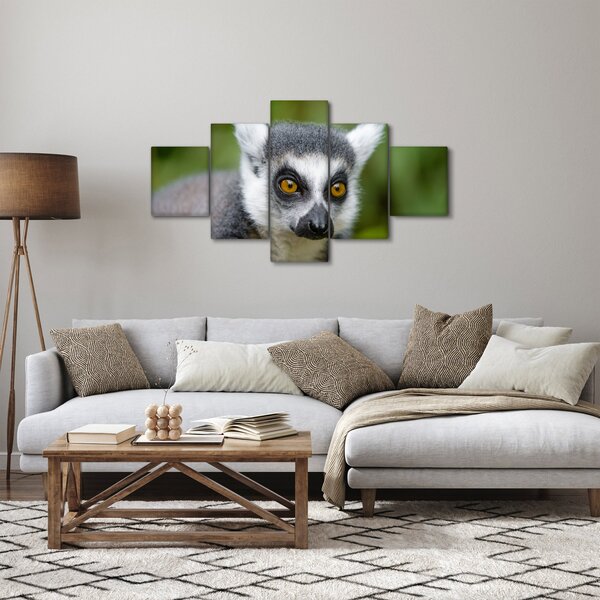 Obraz lemura (125x70 cm)