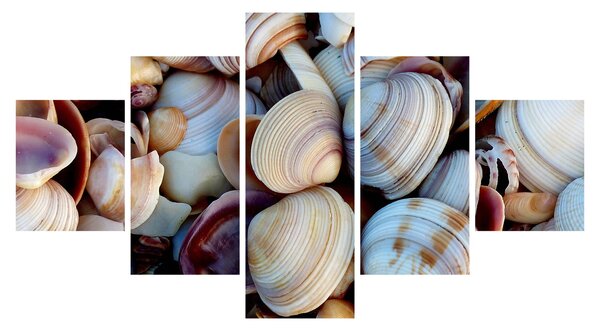 Obraz muszelek (125x70 cm)