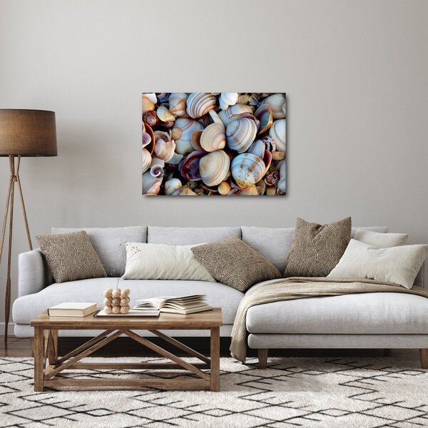 Obraz muszelek (70x50 cm)