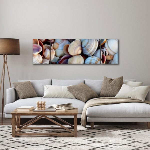 Obraz muszelek (170x50 cm)