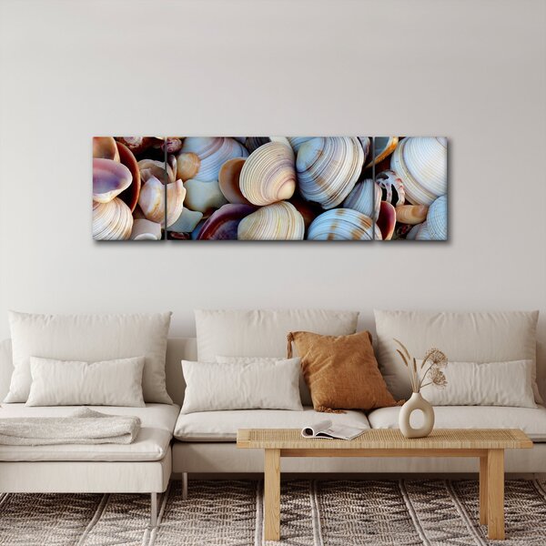 Obraz muszelek (170x50 cm)