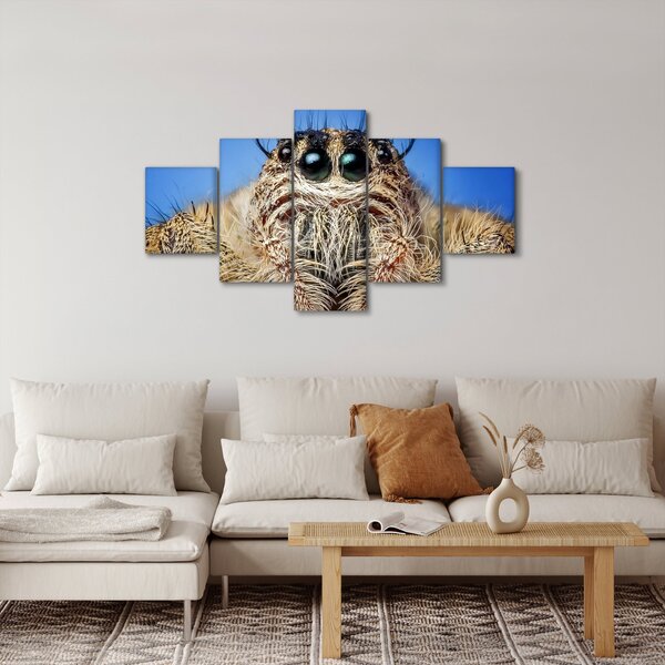 Obraz szczegółu pająka (125x70 cm)