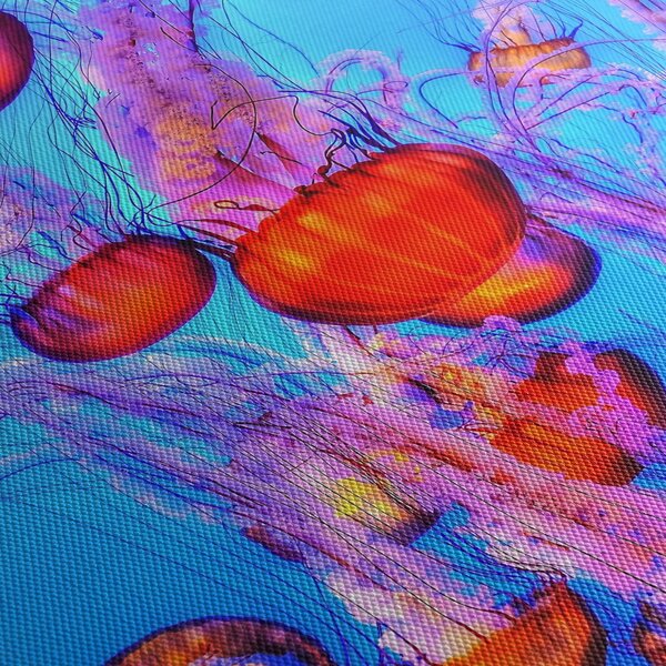 Obraz meduz w morzu (125x70 cm)