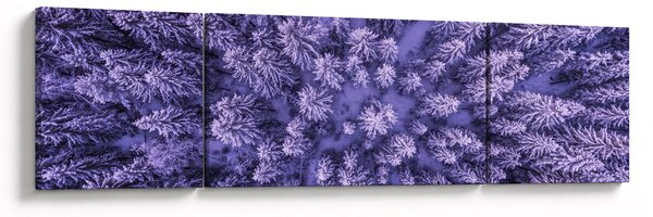 Obraz ośnieżonych drzew (170x50 cm)