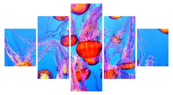 Obraz meduz w morzu (125x70 cm)