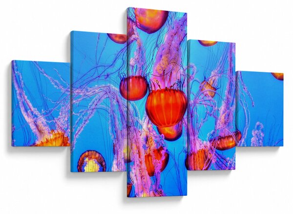 Obraz meduz w morzu (125x70 cm)