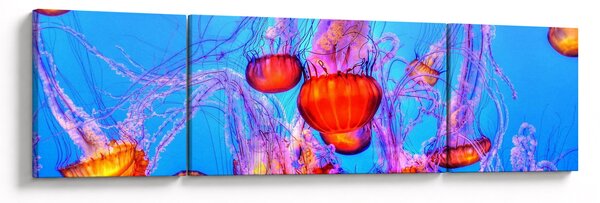 Obraz meduz w morzu (170x50 cm)