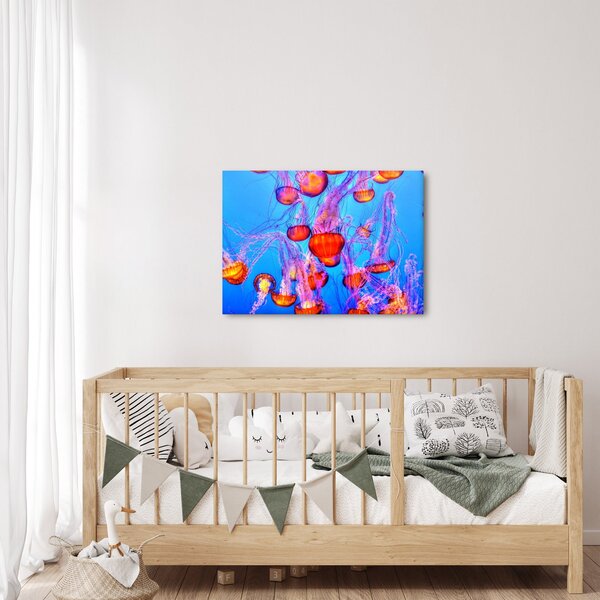 Obraz meduz w morzu (70x50 cm)
