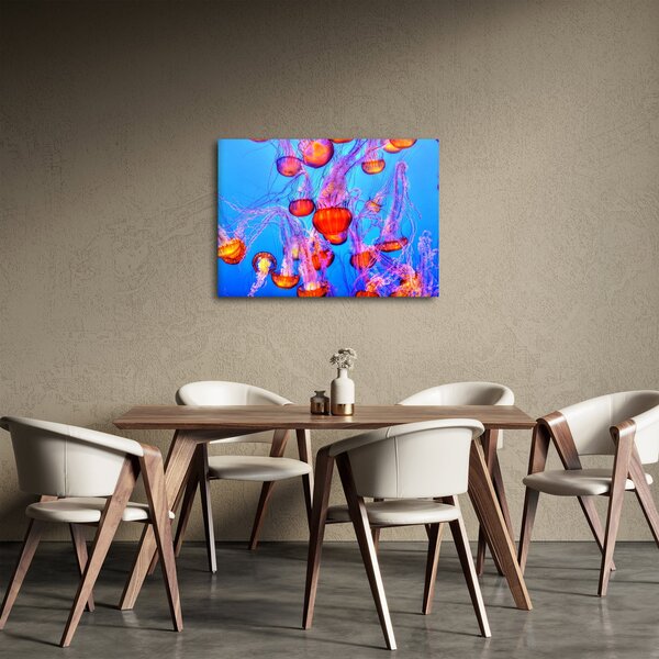 Obraz meduz w morzu (70x50 cm)