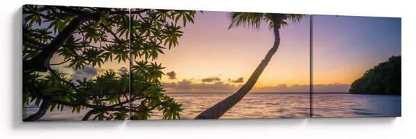 Obraz palmy na plaży (170x50 cm)
