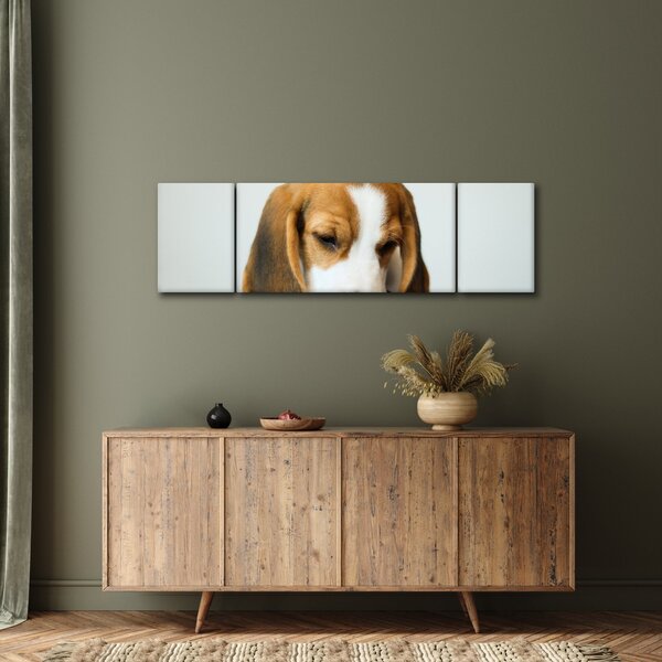 Obraz Beagle (170x50 cm)