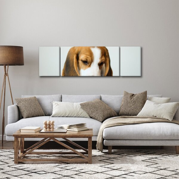 Obraz Beagle (170x50 cm)