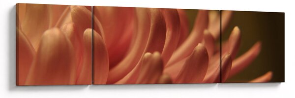 Obraz szczegółów kwiatu (170x50 cm)