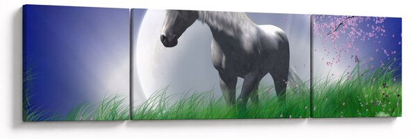 Obraz jednorożca (170x50 cm)