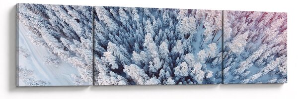 Obraz ośnieżonych drzew (170x50 cm)