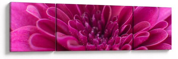 Obraz kwiatu (170x50 cm)