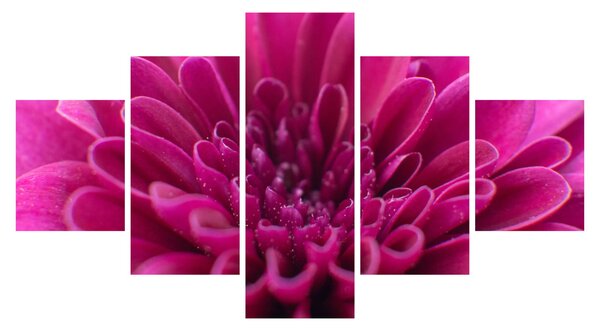 Obraz kwiatu (125x70 cm)