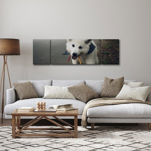 Obraz białego psa (170x50 cm)