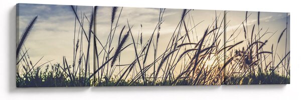 Obraz kwiatów łąkowych (170x50 cm)