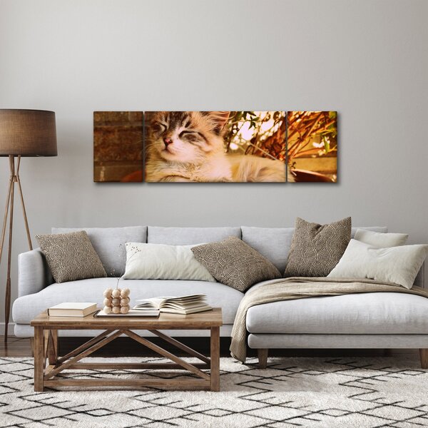 Obraz kota w doniczce (170x50 cm)
