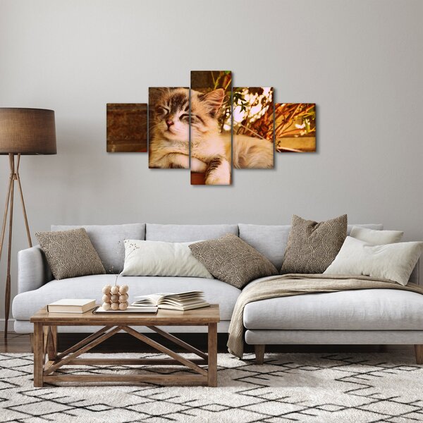 Obraz kota w doniczce (125x70 cm)