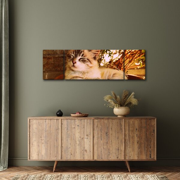 Obraz kota w doniczce (170x50 cm)