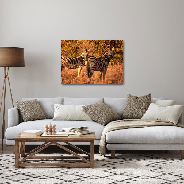 Obraz zebr (70x50 cm)