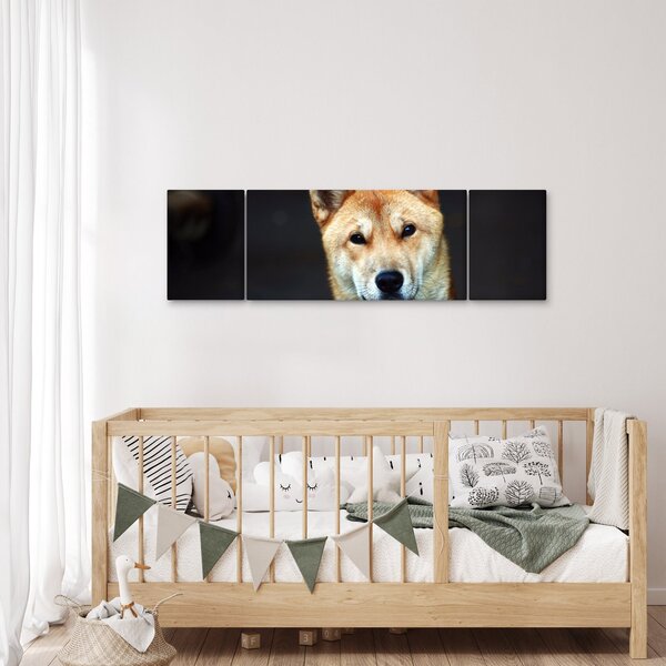 Obraz psa (170x50 cm)