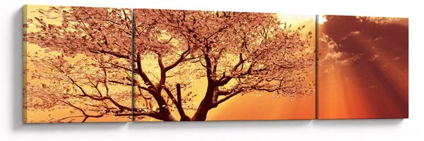 Obraz promieni Boga (170x50 cm)