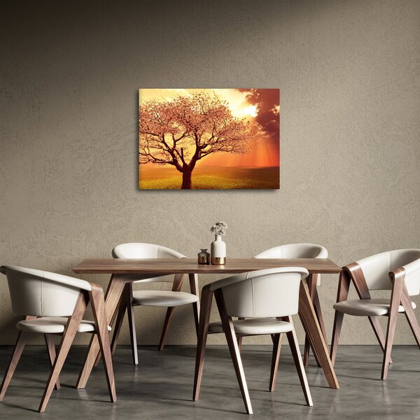 Obraz promieni Boga (70x50 cm)